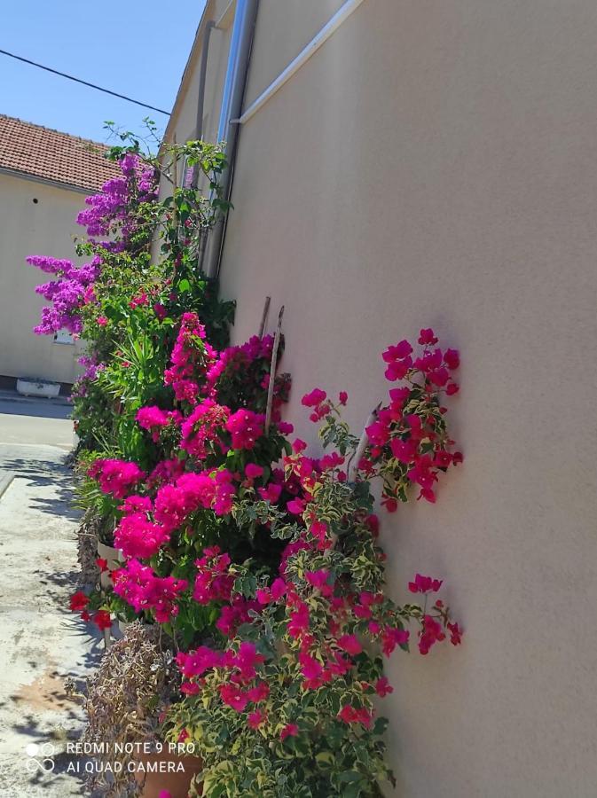 Apartments Iva Pakostane Exterior photo